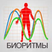 Расчет биоритмов, биоритмы онлайн